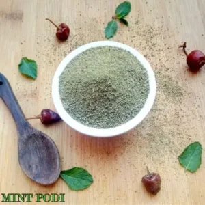 Pudina podi